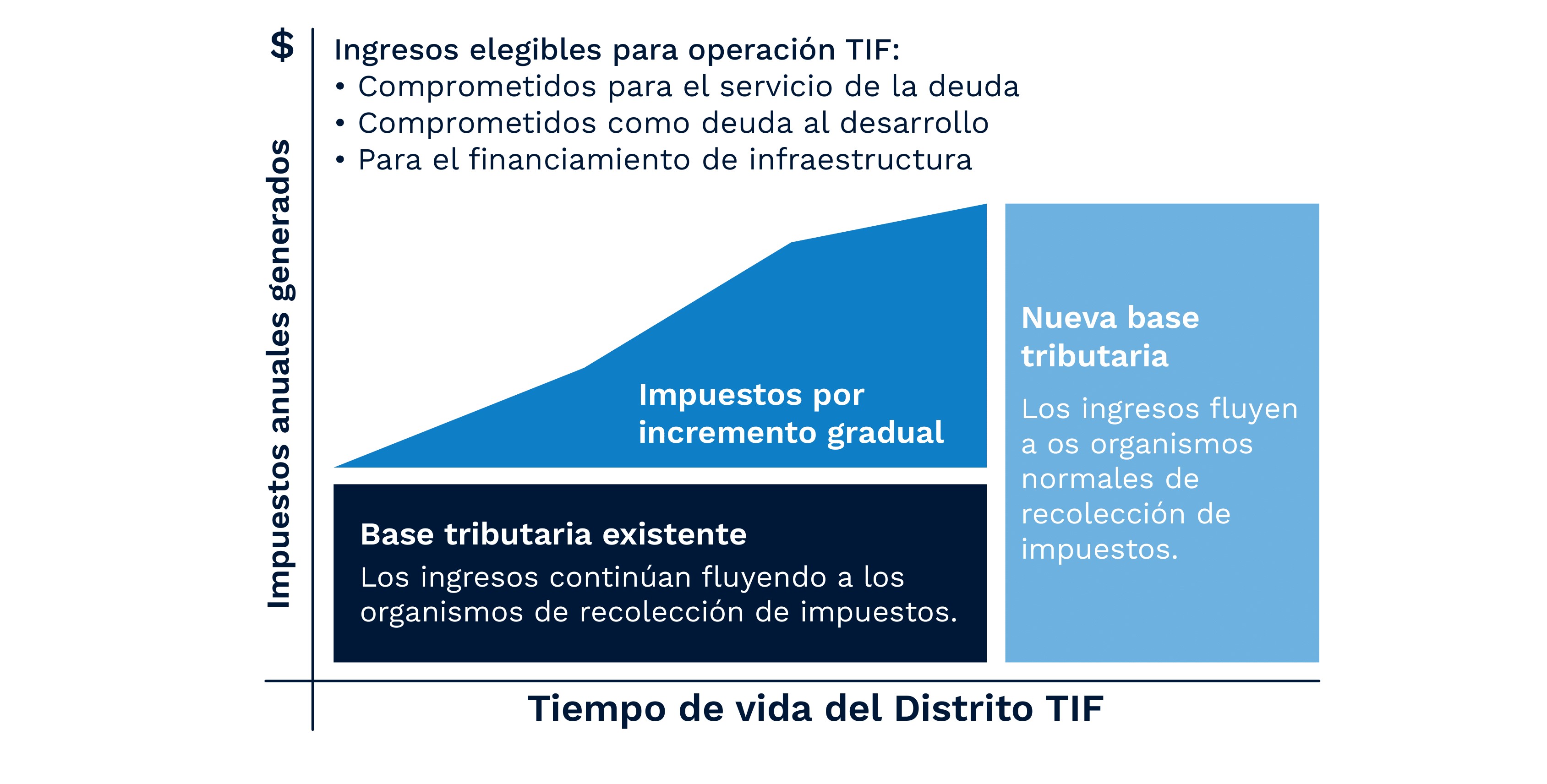 TIF Gráfica