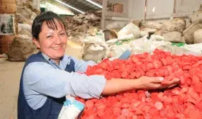 Mas de 3 mil recicladores capacitados para el acceso a recursos de tarifa de aseo