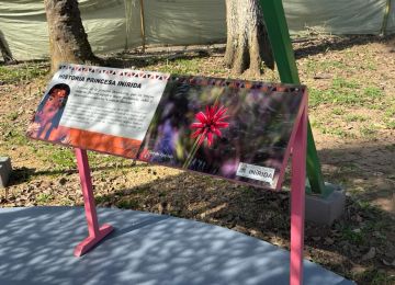 FOTOGRAFIA ENTREGA PARQUE RECREODEPORTIVO EN GUAINÍA 04