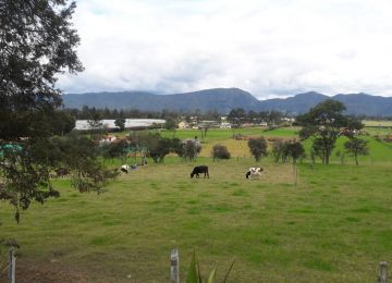 ‍Con la construcción de 320 viviendas rurales en estos dos departamentos se generan 320 empleos directos y 640 indirectos. Foto: Ángela Piñeros (MVCT)