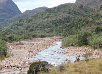 Continua en aumento el numero de municipios afectados por la temporada seca