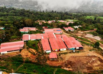 ETCR Llano Grande - Dabeiba, Antioquia - Foto: Cortesía ARN