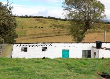 Abiertas convocatorias para construir 1.648 viviendas rurales en 10 departamentos. Foto: Archivo Prensa (MVCT)