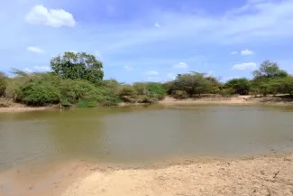 Fenómeno El Niño