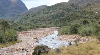 Continua en aumento el numero de municipios afectados por la temporada seca