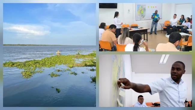 FOTOGRAFÍA DECRETO 381