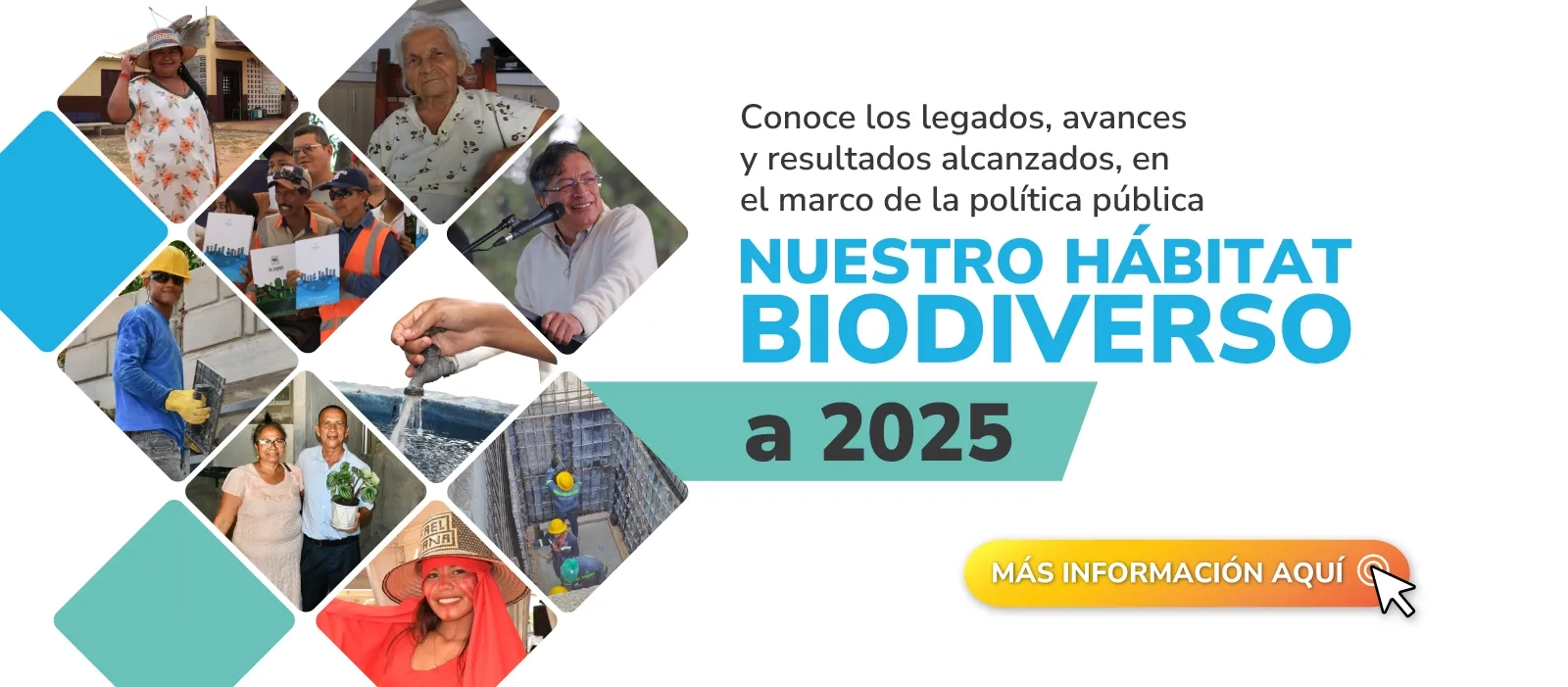 PIEZA GRAFICA INFORME DE GESTION 2025 02